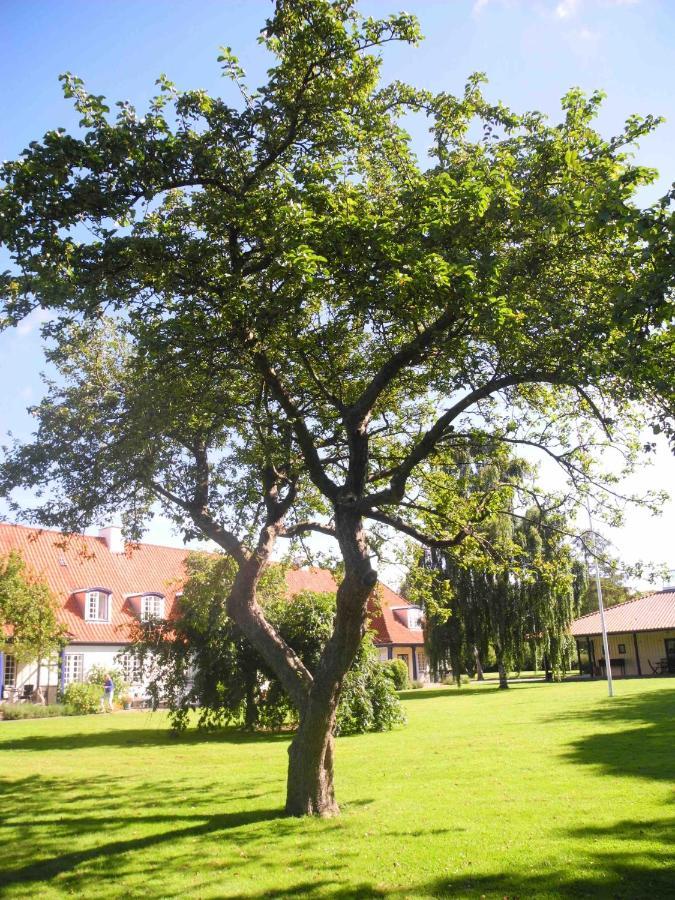 Inspiration Center Denmark, Bed & Breakfast Maribo Extérieur photo
